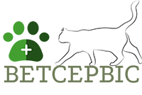 Ветсервіс